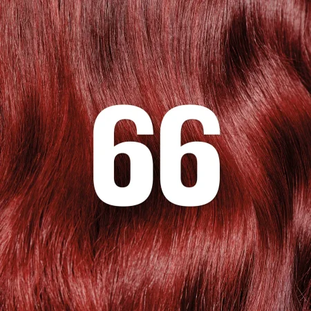 66