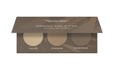 PIERRE RENE – EYEBROW PALETTE